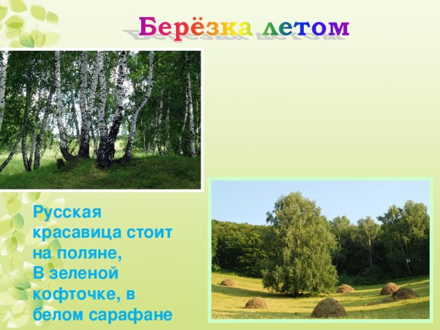 Русская красавица стоит на поляне,  В зеленой кофточке, в белом сарафане