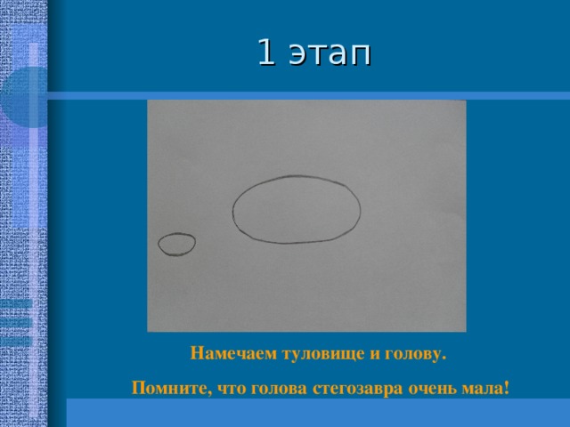 Намечаем туловище и голову.  Помните, что голова стегозавра очень мала!