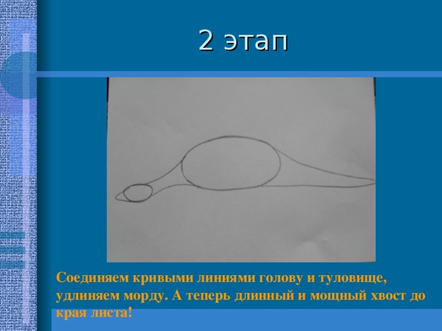 Соединяем кривыми линиями голову и туловище, удлиняем морду. А теперь длинный и мощный хвост до края листа!