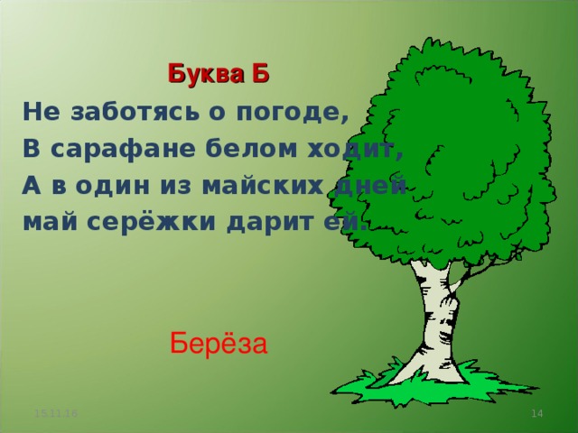 Буква Б Не заботясь о погоде, В сарафане белом ходит, А в один из майских дней май серёжки дарит ей.  Берёза 15.11.16