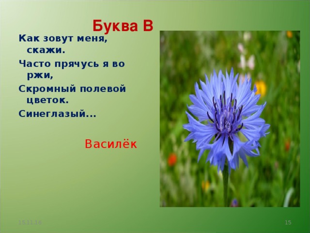 Буква В Как зовут меня, скажи. Часто прячусь я во ржи, Скромный полевой цветок. Синеглазый...  Василёк 15.11.16