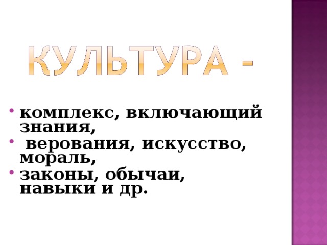 комплекс, включающий знания,  верования, искусство, мораль, законы, обычаи, навыки и др.