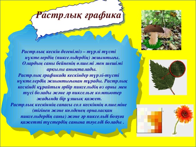 Растрлық графика Растрлық кескін дегеніміз – түрлі түсті нүктелердің (пиксельдердің) жиынтығы. Олардың саны бейненің өлшемі мен шешімі арқылы анықталады. Растрлық графикада кескіндер түрлі-түсті нүктелердің жиынтығынан тұрады. Растрлық кескінді құрайтын әрбір пиксельдің өз орны мен түсі болады және әр пиксельге компьютер жадында бір ұяшық қажет.      Растрлық кескіннің сапасы сол кескіннің өлшеміне (тігінен және көлденең орналасқан пиксельдердің саны) және әр пиксельді бояуға қажетті түстердің санына тәуелді болады  .