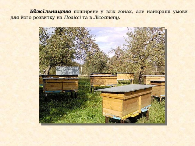 Бджільництво поширене у всіх зонах, але найкращі умови для його розвитку на Поліссі та в Лісостепу.