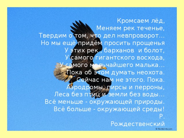 Кромсаем лёд, Меняем рек теченье, Твердим о том, что дел невпроворот… Но мы ещё придём просить прощенья У этих рек , барханов и болот, У самого гигантского восхода, У самого мельчайшего малька… Пока об этом думать неохота. Сейчас нам не этого. Пока. Аэродромы, пирсы и перроны, Леса без птиц и земли без воды… Всё меньше - окружающей природы. Всё больше - окружающей среды!  Р. Рождественский