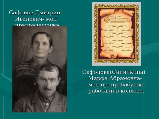 Сафонов Дмитрий Иванович- мой прапрадедушка Сафонова(Синяпкина) Марфа Абрамовна- моя прапрабабушка работали в колхозе.