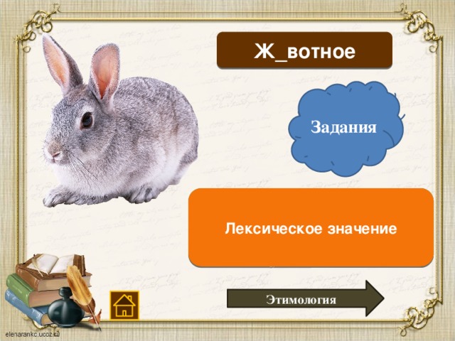 Лексическое слово заяц. Заяц этимология. Этимология слова заяц. Этимологическое значение слова заяц. Вотное и ее характеристики.