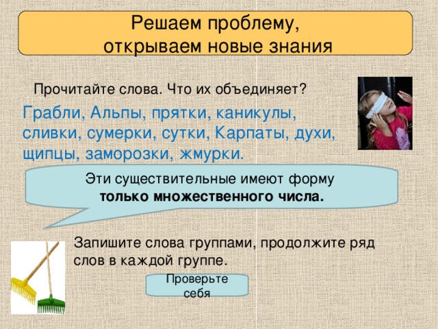 Решаем проблему,  открываем новые знания Прочитайте слова. Что их объединяет? Грабли, Альпы, прятки, каникулы, сливки, сумерки, сутки, Карпаты, духи, щипцы, заморозки, жмурки. Эти существительные имеют форму только множественного числа.  Запишите слова группами, продолжите ряд слов в каждой группе. Проверьте себя