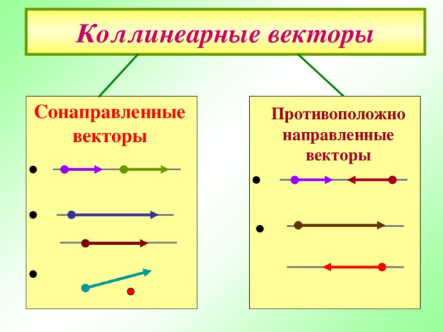 Коллинеарные векторы Сонаправленные векторы  Противоположно направленные векторы