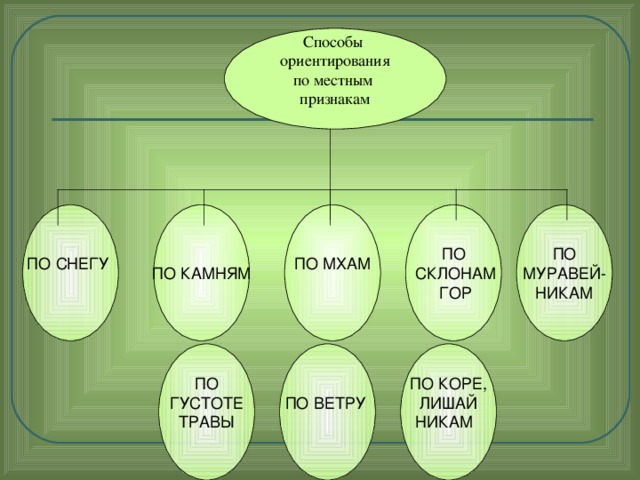 Способы ориентирования по местным признакам