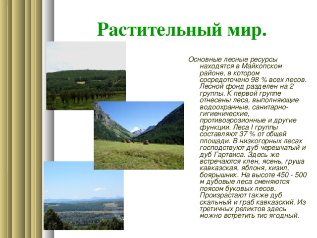 Растительный мир. Основные лесные ресурсы находятся в Майкопском районе, в котором сосредоточено 98 % всех лесов. Лесной фонд разделен на 2 группы. К первой группе отнесены леса, выполняющие водоохранные, санитарно-гигиенические, противоэрозионные и другие функции. Леса I группы составляют 37 % от общей площади. В низкогорных лесах господствуют дуб черешчатый и дуб Гартвиса. Здесь же встречаются клен, ясень, груша кавказская, яблоня, кизил, боярышник. На высоте 450 - 500 м дубовые леса сменяются поясом буковых лесов. Произрастают также дуб скальный и граб кавказский. Из третичных реликтов здесь можно встретить тис ягодный.