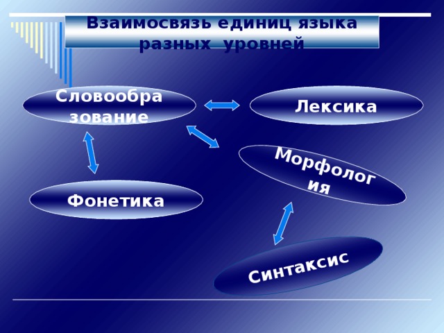 Морфология Синтаксис Взаимосвязь единиц языка разных уровней Словообразование Лексика Фонетика