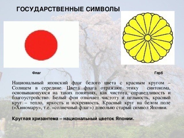 ГОСУДАРСТВЕННЫЕ СИМВОЛЫ   Флаг Герб  Национальный японский флаг белого цвета с красным кругом – Солнцем в середине.  Цвета флага отражают этику синтоизма, основывающуюся на таких понятиях, как чистота, справедливость и благоустройство. Белый фон означает чистоту и цельность, красный круг – тепло, яркость и искренность. Красный круг на белом поле («Хиномару», т.е. «солнечный флаг») довольно старый символ Японии.  Круглая хризантема – национальный цветок Японии.