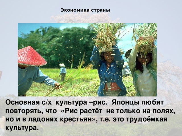 Экономика страны  Основная с/х культура –рис. Японцы любят повторять, что «Рис растёт не только на полях, но и в ладонях крестьян», т.е. это трудоёмкая культура.