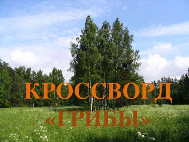 Кроссворд  «Грибы»