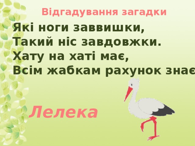 Відгадування загадки Які ноги заввишки, Такий ніс завдовжки. Хату на хаті має, Всім жабкам рахунок знає. Лелека