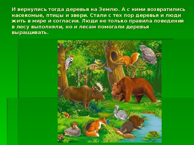 И вернулись тогда деревья на Землю. А с ними возвратились насекомые, птицы и звери. Стали с тех пор деревья и люди жить в мире и согласии. Люди не только правила поведения в лесу выполняли, но и лесам помогали деревья выращивать.