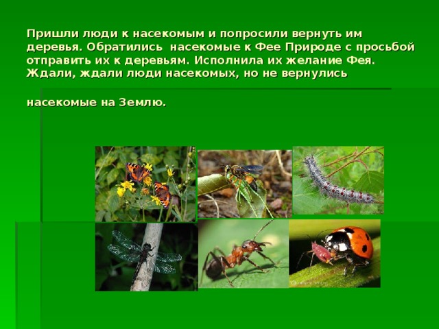 Пришли люди к насекомым и попросили вернуть им деревья. Обратились насекомые к Фее Природе с просьбой отправить их к деревьям. Исполнила их желание Фея. Ждали, ждали люди насекомых, но не вернулись насекомые на Землю.