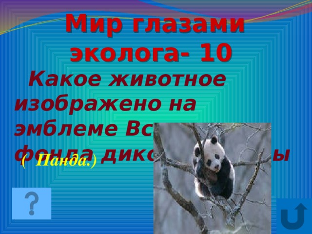 Мир глазами эколога- 10  Какое животное изображено на эмблеме Всемирного фонда дикой природы ( Панда.)