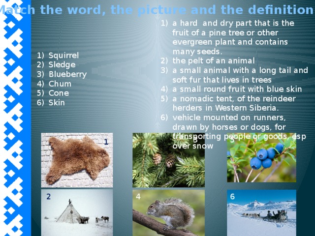 Match the word, the picture and the definition a hard and dry part that is the fruit of a pine tree or other evergreen plant and contains many seeds. the pelt of an animal a small animal with a long tail and soft fur that lives in trees a small round fruit with blue skin a nomadic tent, of the reindeer herders in Western Siberia. vehicle mounted on runners, drawn by horses or dogs, for transporting people or goods, esp over snow Squirrel Sledge Blueberry Chum Cone Skin 3 5 1 2 4 6