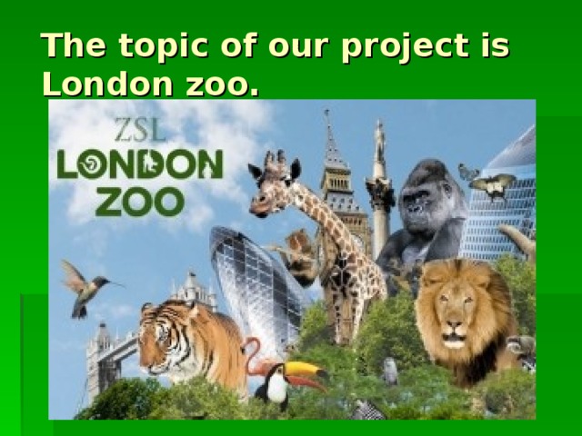 The topic of our project is London zoo.