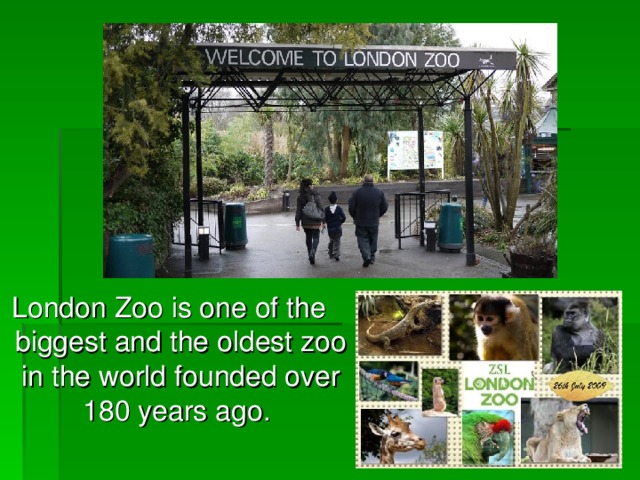 London Zoo is one of the biggest and the oldest zoo in the world founded over 180 years ago.