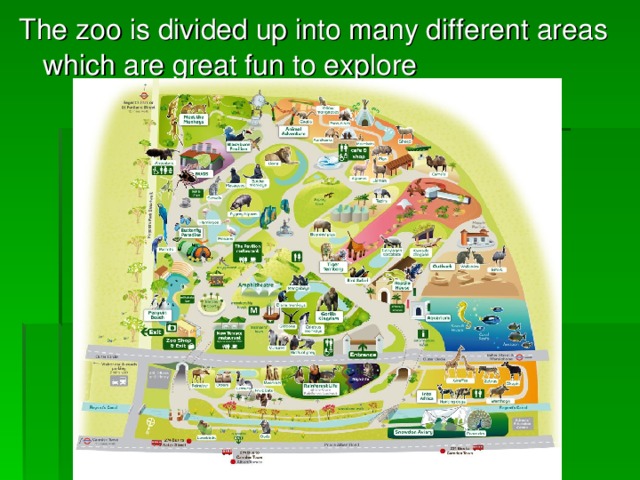 The zoo is divided up into many different areas which are great fun to explore