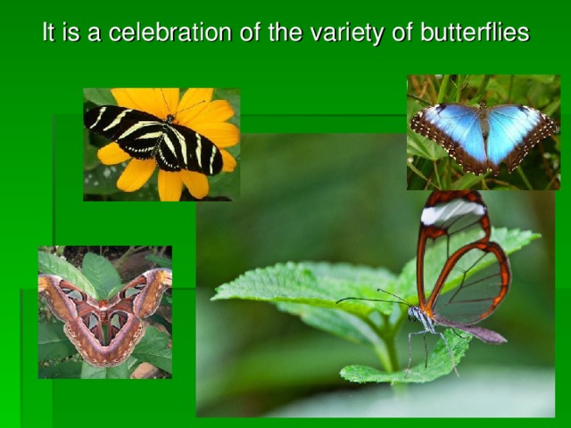 It is a celebration of th e variety of butterflies