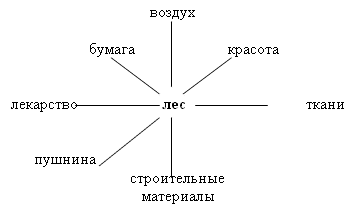 Составьте схему значение леса