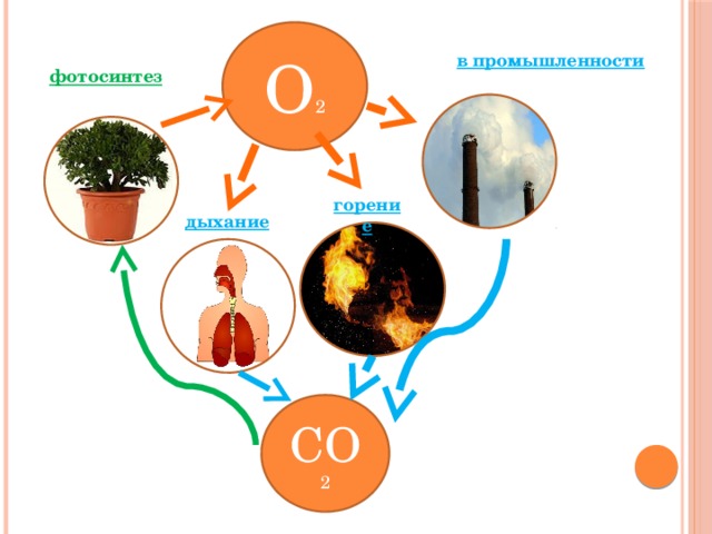 О 2 в промышленности фотосинтез горение дыхание СО 2