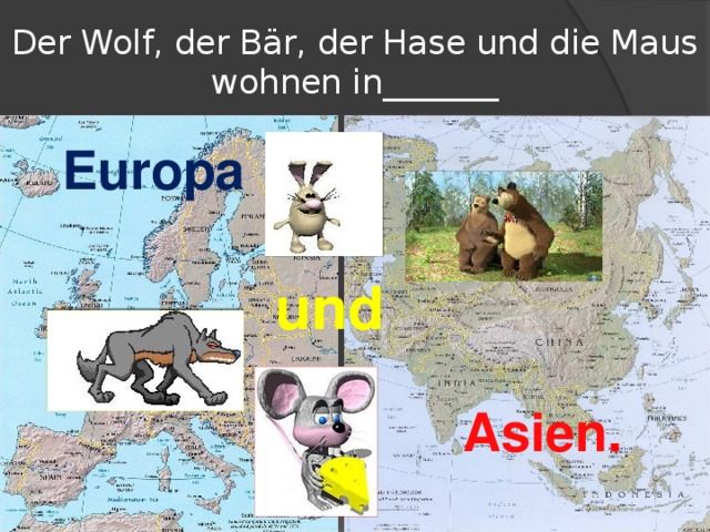 Der Wolf, der Bär, der Hase und die Maus  wohnen in_______ Europa  und Asien .