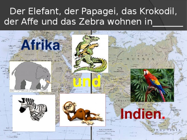 Der Elefant, der Papagei, das Krokodil, der Affe und das Zebra wohnen in_______ Afrika  und Indien .