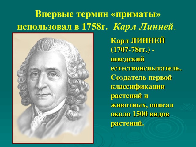 Впервые термин «приматы» использовал в 1758г.  Карл Линней .  Карл ЛИННЕЙ (1707-78гг.) - шведский естествоиспытатель. Создатель первой классификации растений и животных, описал около 1500 видов растений.