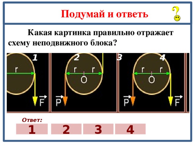 Какая из схем правильно отражает смену растительных сообществ