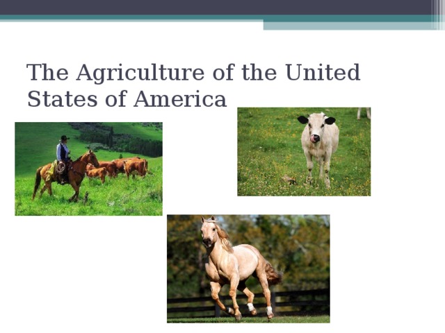 The Agriculture of the United States of America