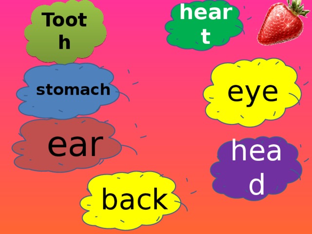 Tooth heart eye stomach ear head back