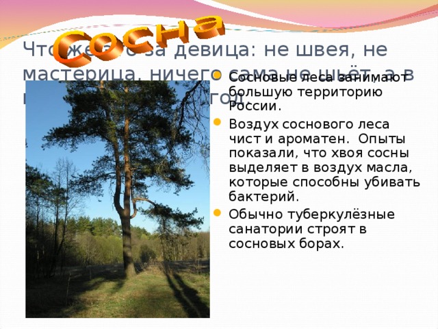 Что же это за девица: не швея, не мастерица, ничего сама не шьёт, а в иголках круглый год.