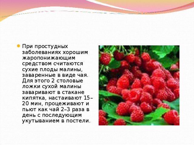 При простудных заболеваниях хорошим жаропонижающим средством считаются сухие плоды малины, заваренные в виде чая. Для этого 2 столовые ложки сухой малины заваривают в стакане кипятка, настаивают 15–20 мин, процеживают и пьют как чай 2–3 раза в день с последующим укутыванием в постели.