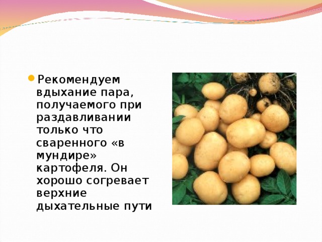 Рекомендуем вдыхание пара, получаемого при раздавливании только что сваренного «в мундире» картофеля. Он хорошо согревает верхние дыхательные пути