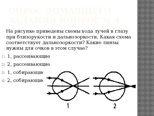 На рисунке изображен клевер луговой под каким номером расположена схема соответствующая расположению