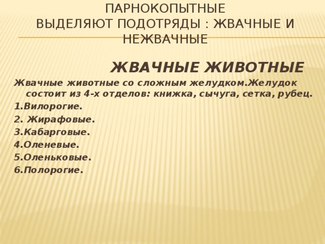 Парнокопытные  Выделяют подотряды : жвачные и нежвачные  ЖВАЧНЫЕ ЖИВОТНЫЕ Жвачные животные со сложным желудком.Желудок состоит из 4-х отделов: книжка, сычуга, сетка, рубец. 1.Вилорогие. 2. Жирафовые. 3.Кабарговые. 4.Оленевые. 5.Оленьковые. 6.Полорогие.