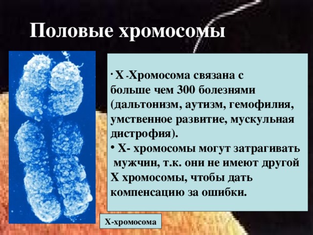 Половые хромосомы  Х - Хромосома связана с больше чем 300 болезнями (дальтонизм, аутизм, гемофилия, умственное развитие, мускульная дистрофия).  Х- хромосомы могут затрагивать  мужчин, т.к. они не имеют другой Х хромосомы, чтобы дать компенсацию за ошибки. Х-хромосома