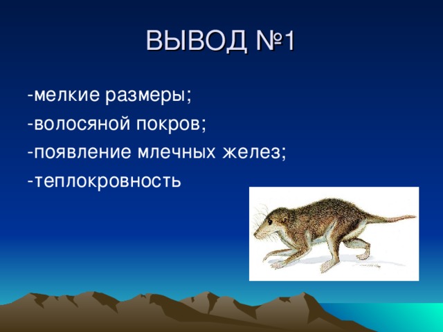 ВЫВОД №1 -мелкие размеры; -волосяной покров; -появление млечных желез; -теплокровность