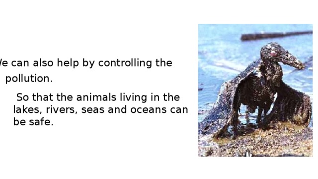 We can also help by controlling the pollution.  So that the animals living in the lakes, rivers, seas and oceans can be safe.