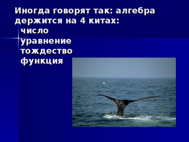 Иногда говорят так: алгебра держится на 4 китах:  число  уравнение  тождество  функция