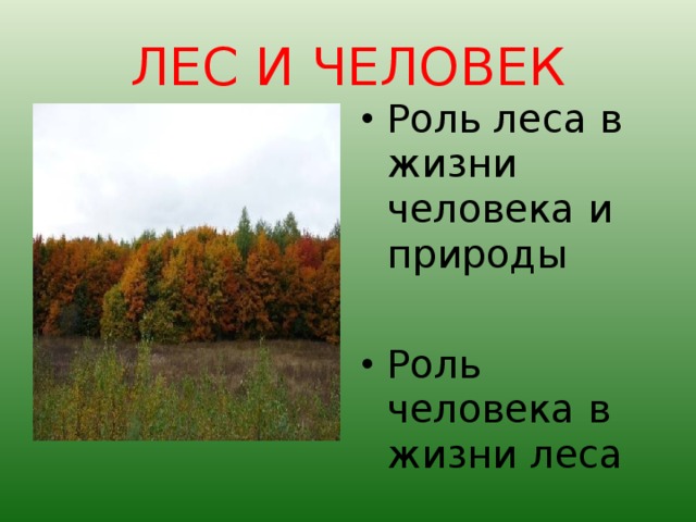 Реферат На Тему Леса России 4 Класс