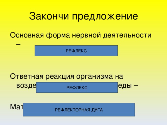 Закончи предложение Основная форма нервной деятельности – Ответная реакция организма на воздействие окружающей среды – Материальная основа рефлекса -