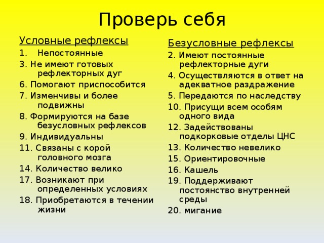 Проверь себя Условные рефлексы Непостоянные 3. Не имеют готовых рефлекторных дуг 6. Помогают приспособится 7. Изменчивы и более подвижны 8. Формируются на базе безусловных рефлексов 9. Индивидуальны 11. Связаны с корой головного мозга 14. Количество велико 17. Возникают при определенных условиях 18. Приобретаются в течении жизни Безусловные рефлексы 2. Имеют постоянные рефлекторные дуги 4. Осуществляются в ответ на адекватное раздражение 5. Передаются по наследству 10. Присущи всем особям одного вида 12. Задействованы подкорковые отделы ЦНС 13. Количество невелико 15. Ориентировочные 16. Кашель 19. Поддерживают постоянство внутренней среды 20. мигание