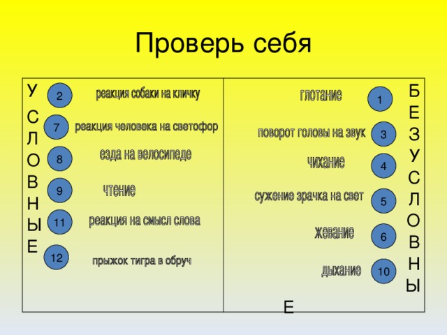 Проверь себя У С  Л  О  В  Н  Ы  Е Б  Е  З  У  С  Л  О  В  Н  Ы  Е