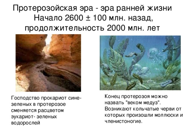 Жизнь возникла в эру. Протерозойская Эра (2000 млн. Лет назад). Протерозойская Эра 11 класс. Протерозойская (ранней жизни) 2000. Продолжительность протерозойской эры млн лет.